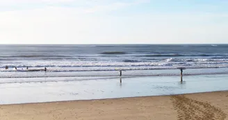 Le-Gurp-----Medoc-Atlantique--3-