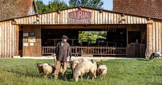 Le Berger et les moutons