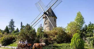 Le Moulin et la calèche