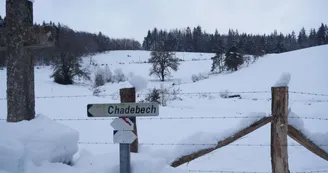 Neige Bonnefond