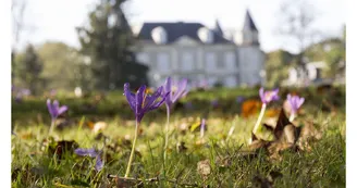 Château de Franqueville - Bizanos - Façade et prairie