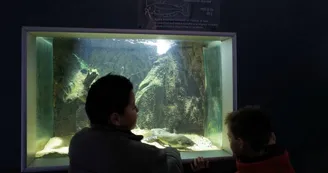 2-Maison-de-la-nature---Aquarium