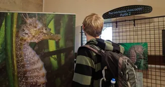 4-Maison-de-la-nature---Expositions
