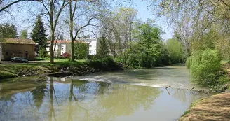 Le Luy Amou