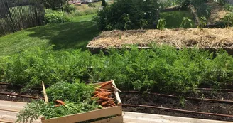 Légumes