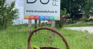muséedufruit©muséedufruit
