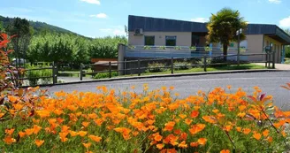 Camping municipal Le Longour 1_9