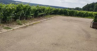 Aire de service Champagne Champion - Bergères-sous-Montmirail