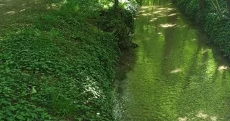 Bois de la fontaine Saint-Martin © Ville de Saint André les Vergers .jpg