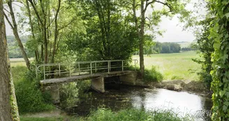 Gites ruraux - VILLE SUR ARCE Gites ruraux - VILLE SUR ARCE