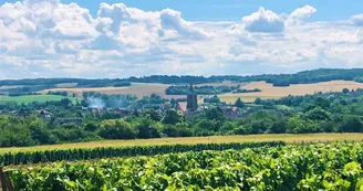 Le Gite du Pigeonnier Le Gite du Pigeonnier