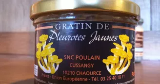 Les-Champignons-12-1.jpg