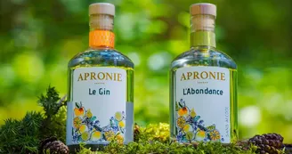 Apronie2.jpg