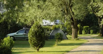 Photo_4.JPG