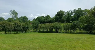 Camping saint sauveur villages renaudiere feret (21)