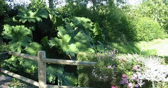 Saint-sauveur-le-vicomte-camping-du-vieux-chateau-4 Saint-sauveur-le-vicomte-camping-du-vieux-chateau-4