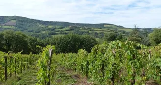 Domaine de Belert Domaine de Belert