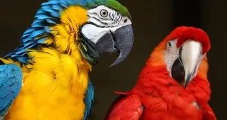 Paco & Rita Paco & Rita