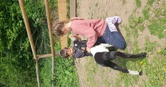 La Ferme des Andes - Visite commentée de la ferme La Ferme des Andes - Visite commentée de la ferme