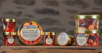 Des glaces de la ferme au lait de brebis - Valérie BRU - GAEC DU MAUBERT Des glaces de la ferme au lait de brebis - Valérie BRU - GAEC DU MAUBERT