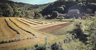Park et Rêve