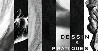 Cours et Stages de dessin et pratiques plastiques