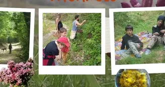 Balades de découverte des plantes sauvages comestibles