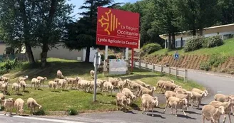 Lycée agricole La Cazotte Lycée agricole La Cazotte
