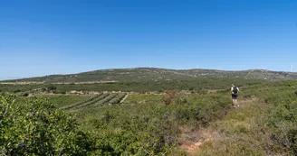 Les collines de la Moure