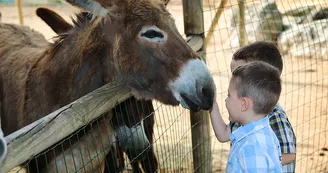 rencontre avec les animaux de la ferme
