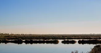 Les salins de Villeroy