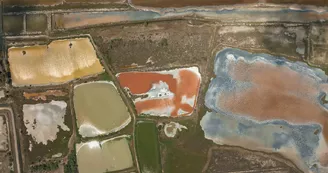 Les salins de Villeroy