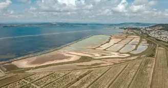 Les salins de Villeroy