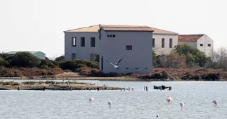 Les anciens salins de Frontignan