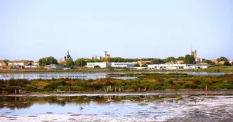 Les anciens salins de Frontignan