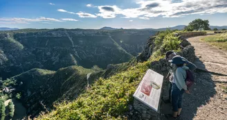 Belvédère Baume Auriol Cirque de Navacelles
