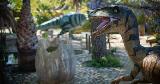 dino2 - photo tendance dino2 - photo tendance
