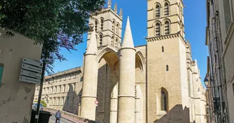 CathédraleStPierre(5)-