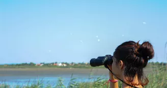 La réserve naturelle du Bagnas