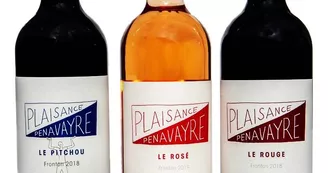 domaine plaisance 14 VACQUIERS