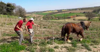 domaine plaisance 9 VACQUIERS