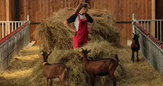 Ferme du rev à Thil - fromagerie de chèvre (4)