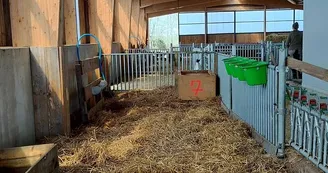 Ferme du rev à Thil - fromagerie de chèvre (5)