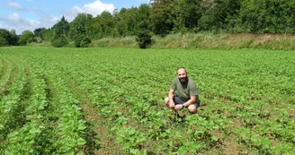 La commingeoise-agassac-jardin La commingeoise-agassac-jardin