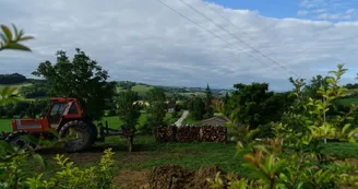 La commingeoise-agassac-jardin2 La commingeoise-agassac-jardin2