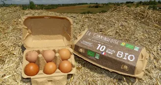 La commingeoise-agassac-oeufs La commingeoise-agassac-oeufs