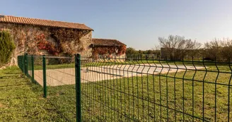 Du Coq à l'Âne