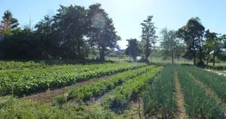 Jardin--Les-Jardins-du-Flouran--L-Isle-en-Dodon Jardin--Les-Jardins-du-Flouran--L-Isle-en-Dodon