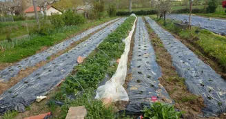 Les-jardins-du-Flouran--l-Isle-en-Dodon Les-jardins-du-Flouran--l-Isle-en-Dodon