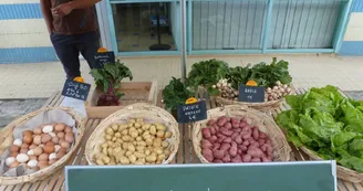 marche--Les-jardins-du-Flouran--L-Isle-en-Dodon marche--Les-jardins-du-Flouran--L-Isle-en-Dodon